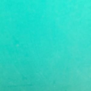 Meet your Posher, Benny